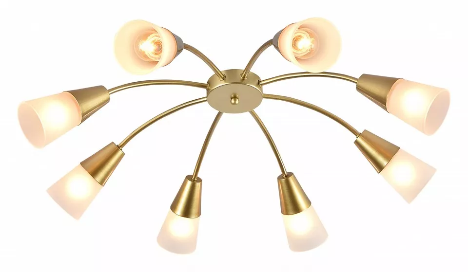 

Потолочная люстра Escada Aquilegia 1100/8P Chrome