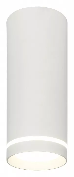 

Накладной светильник Escada 20009 20009SMU/02LED SWH