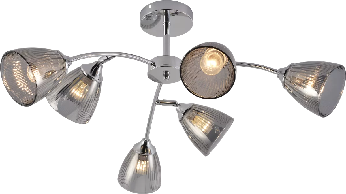 

Люстра на штанге Rivoli Francheska 9179-306 Б0068457