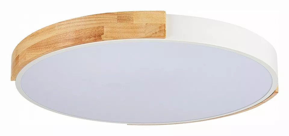 

Накладной светильник EVOLUCE Delia SLE201352-01