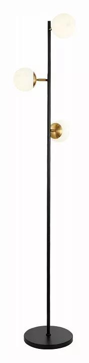 

Торшер EVOLUCE Forli SLE220405-03