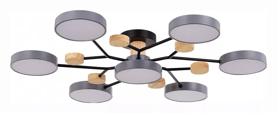 

Потолочная люстра EVOLUCE Faema SLE6006-702-07