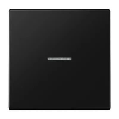 

Клавиша 1-ная с линзой Jung LS990 LS990KO5SWM