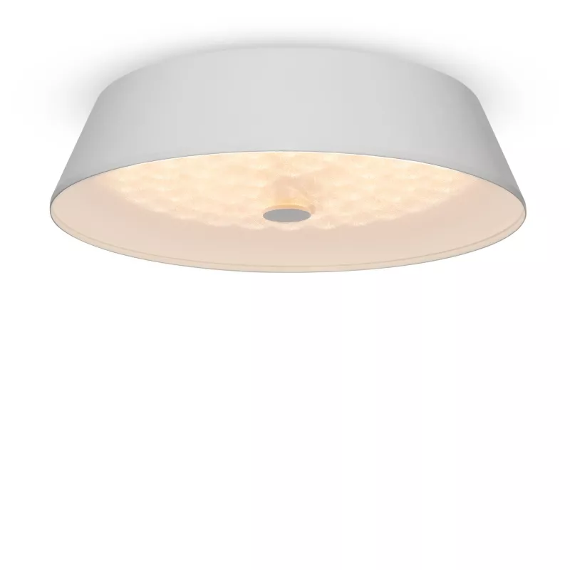 Потолочный светильник Freya Cells FR10013CL-L24W