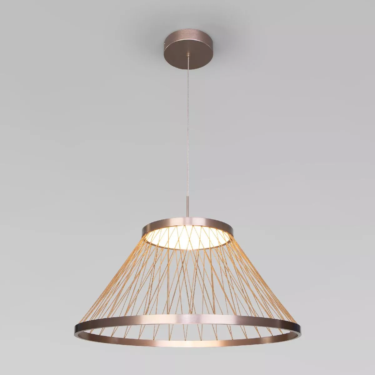 

Подвесная люстра Eurosvet Cesta 40017/1 LED коричневый a069288