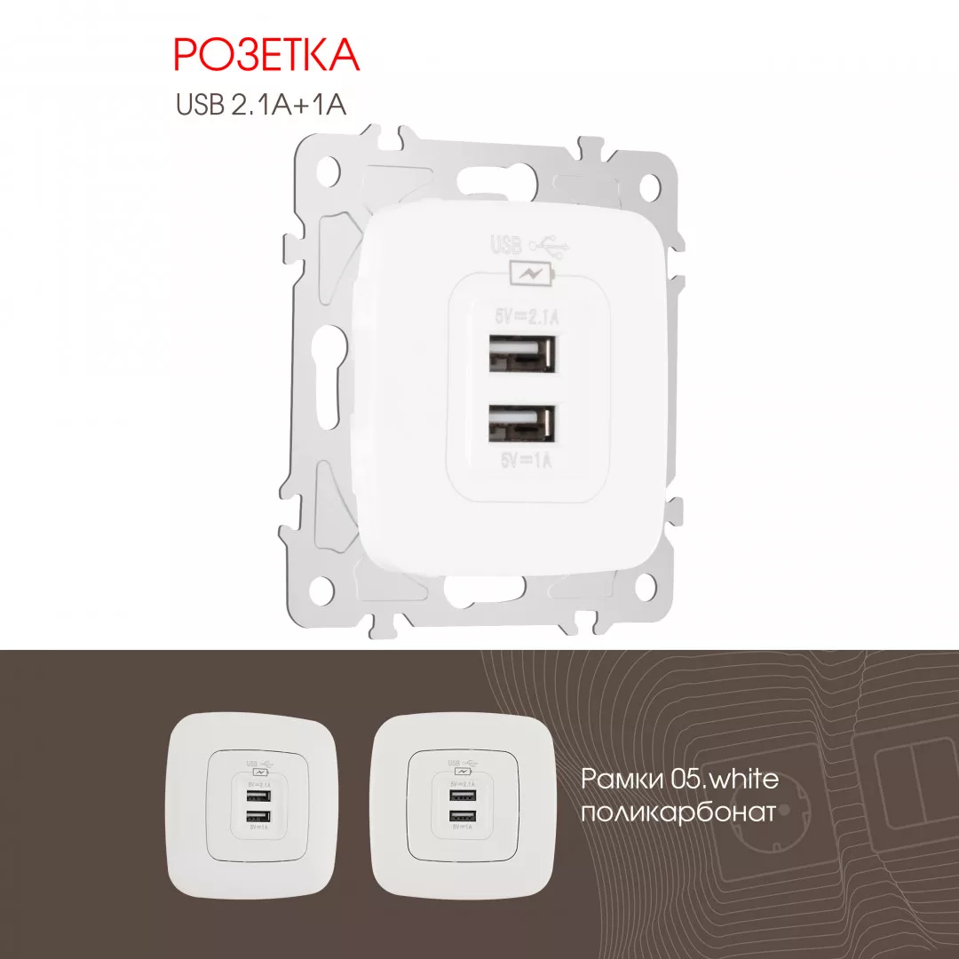 

Розетка USB 2.1А+1А Arte Milano 205.46-1.white