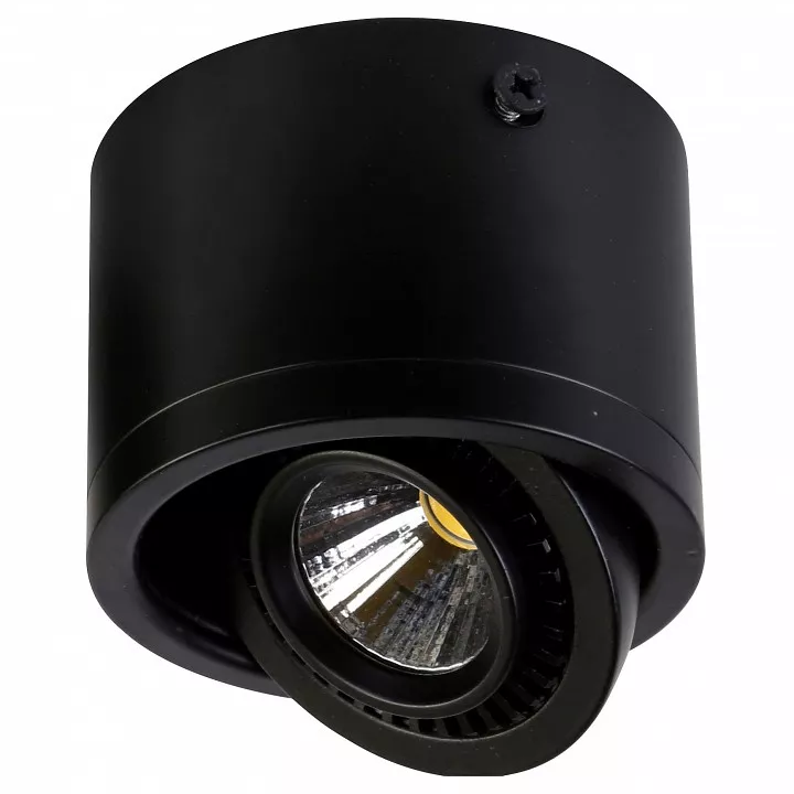 

Накладной светильник Favourite Reflector 1777-1C