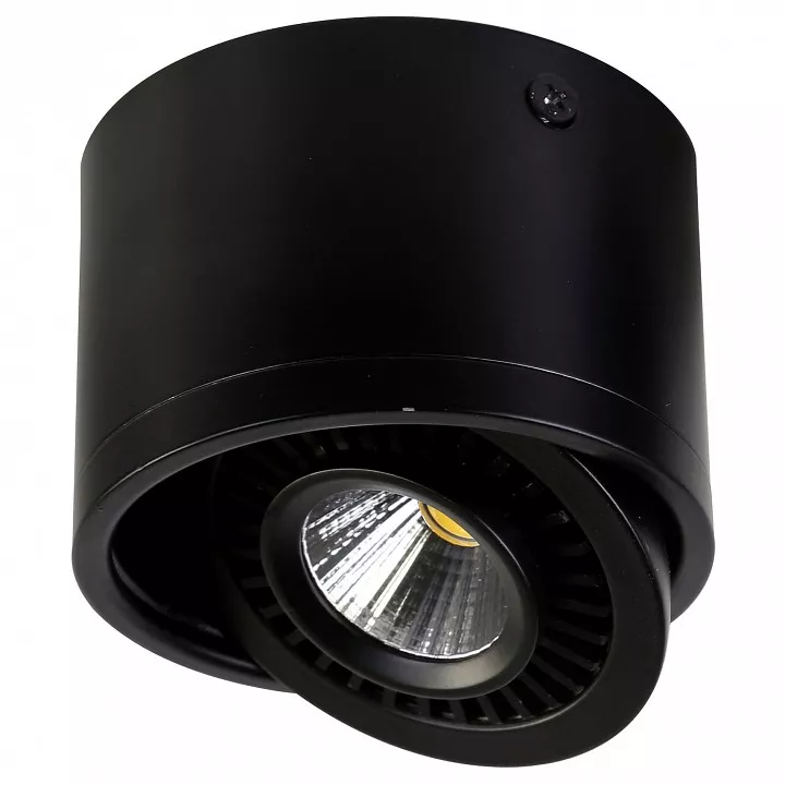 

Накладной светильник Favourite Reflector 1779-1C