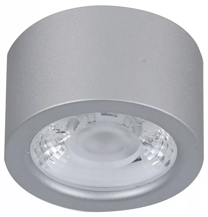 

Накладной светильник Favourite Deorsum 2808-1U