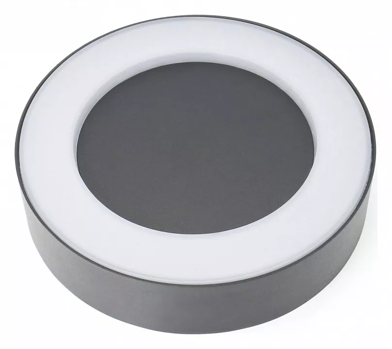 

Накладной светильник Favourite Washer 2865-1W