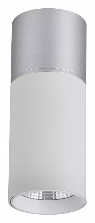 

Накладной светильник Favourite Deepak 3071-1C