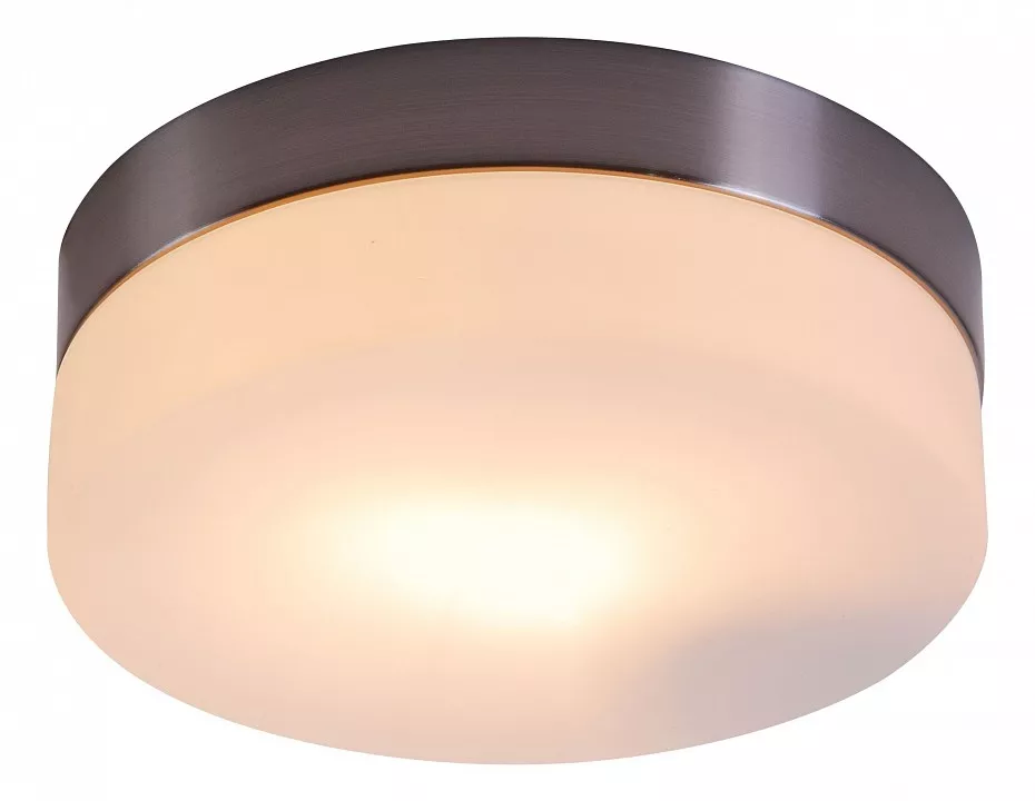 

Потолочный светильник Globo Opal 48401