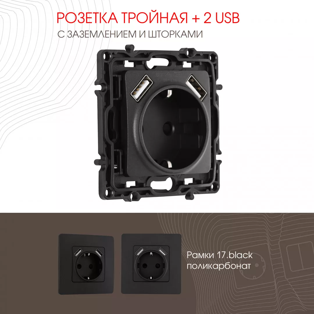 

Розетка с заземлением, шторками + 2 USB Arte Milano 217.47-1.black