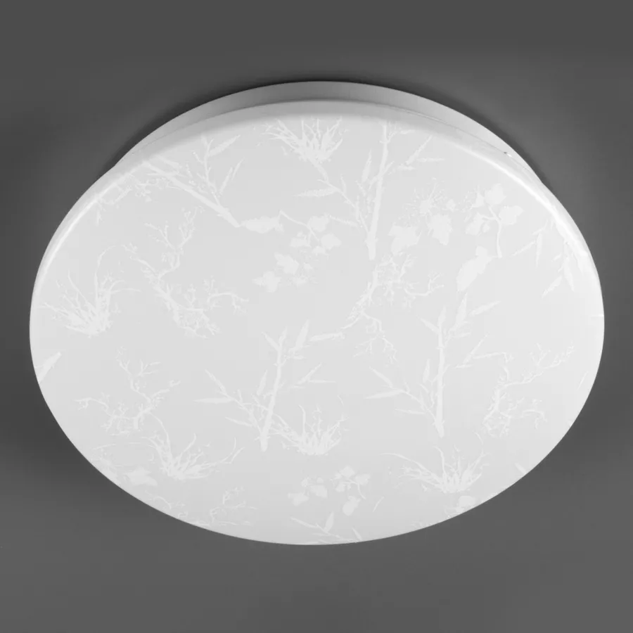 Потолочный светильник General Plant GSMCL-020-24 800261