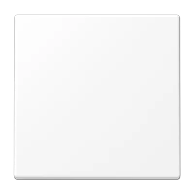 

Клавиша 1-ная Jung LS990WWM