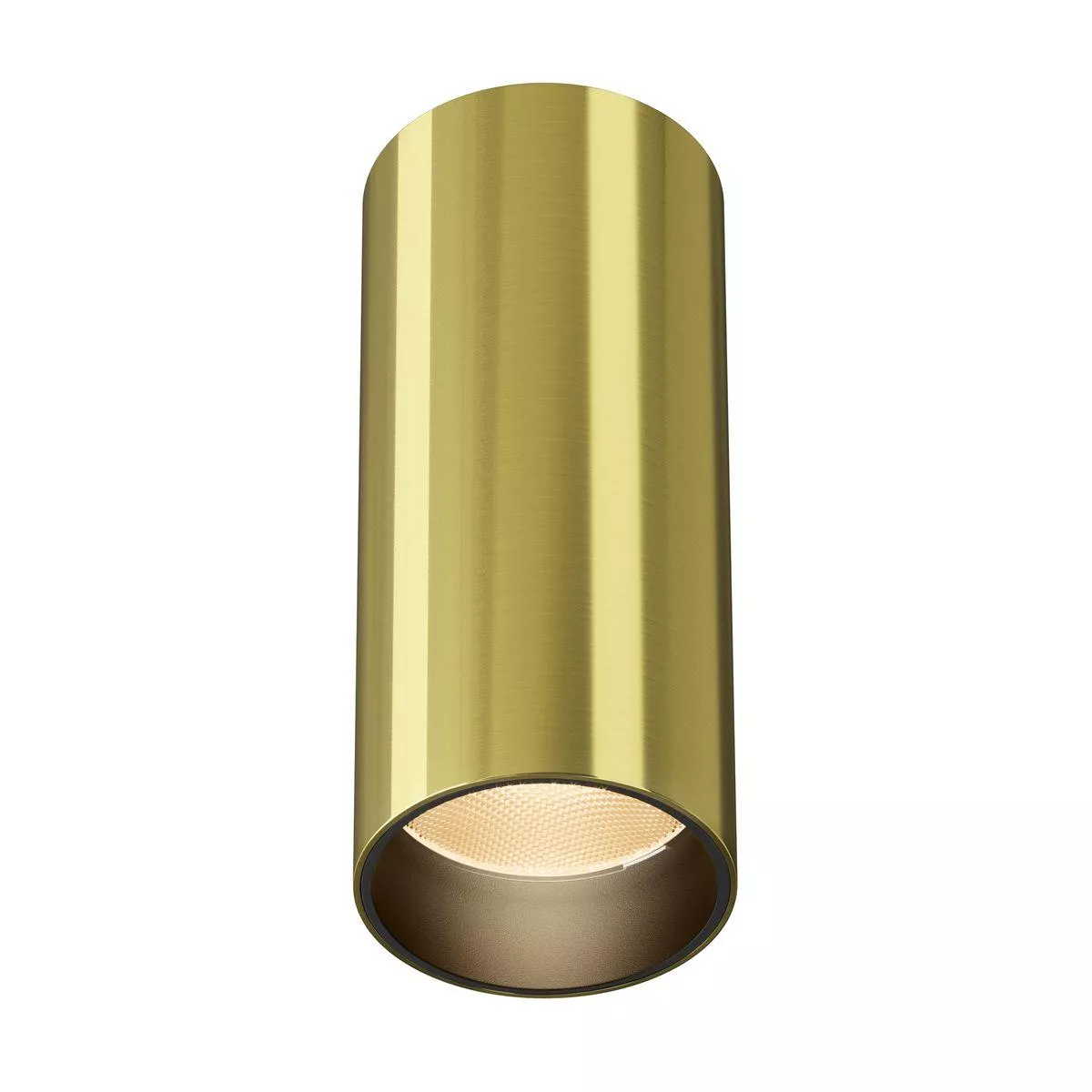 

Потолочный светодиодный светильник Maytoni Technical Focus Led C056CL-L12W2.7K-W-BS