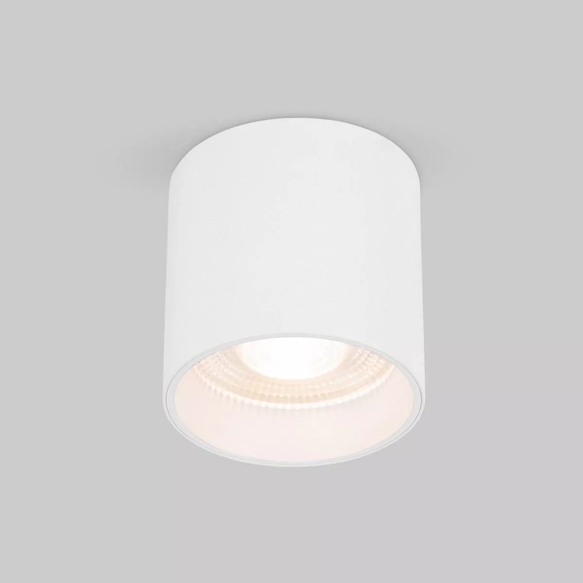 

Накладной светодиодный светильник Elektrostandard Orson 25034/LED 10W 4200K белый a062930