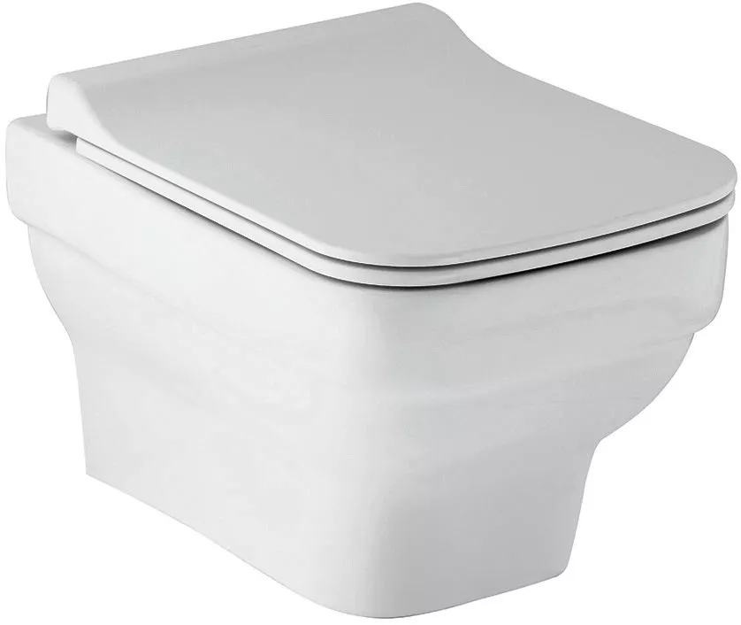 

Унитаз подвесной Berges Wasserhaus Level 082119