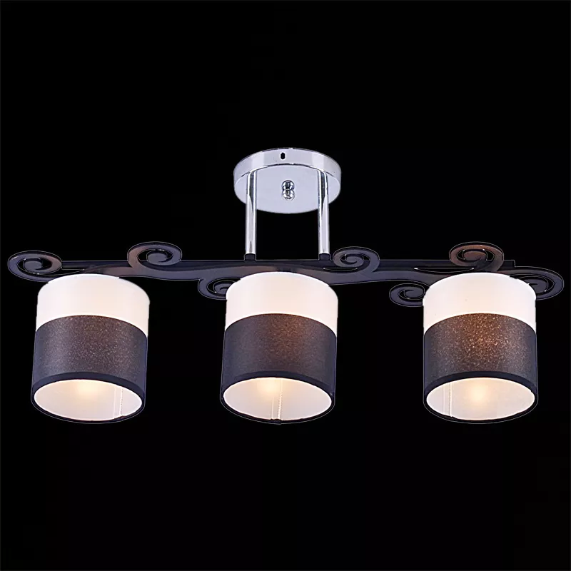 

Люстра на штанге Reluce 05019-0.3-03C BK+CR