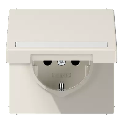 

Розетка Schuko с крышкой Jung LS1520BFNAKL