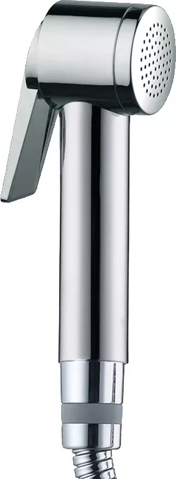 

Гигиенический душ Bossini Paloma (B00462.030)