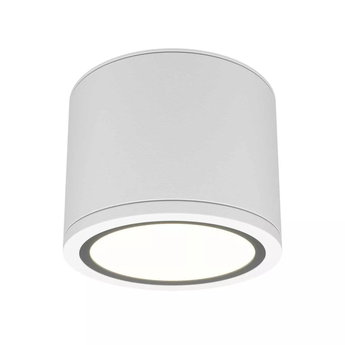 

Потолочный светильник Maytoni Technical Rendo C095CL-GX53-W