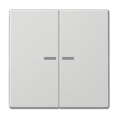 

Клавиша 2-ная с 2-мя линзами Jung LS990 LS995KO5LG