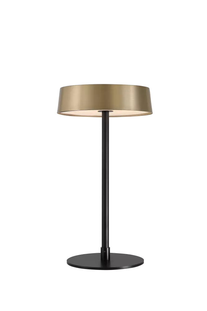 

Настольная лампа DesignLed T-0509-270A-BS-WW 007554