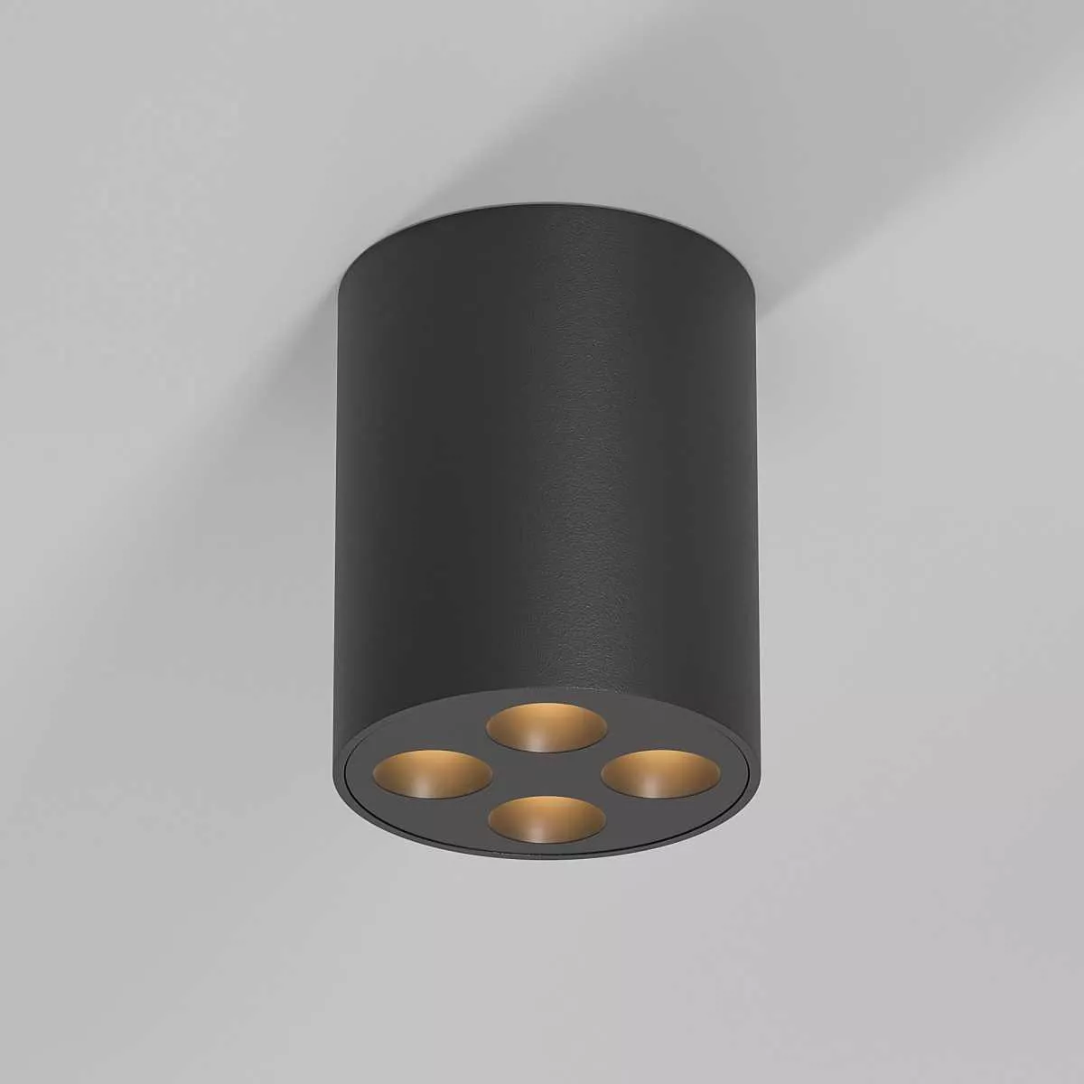 

Потолочный светильник Elektrostandard 25111/LED a067484