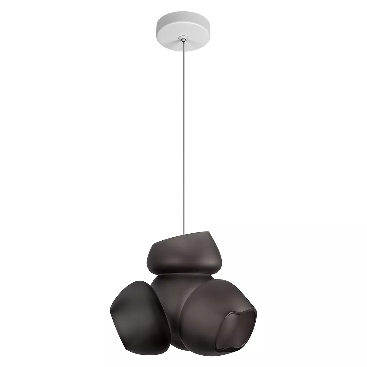 

Подвесной светильник LOFT IT Cluster 10467P Black