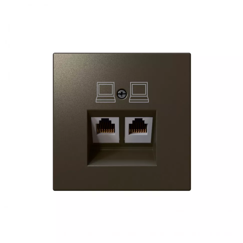 

Интернет-розетка RJ45 двойная с накладкой Jasmart FD6106BR