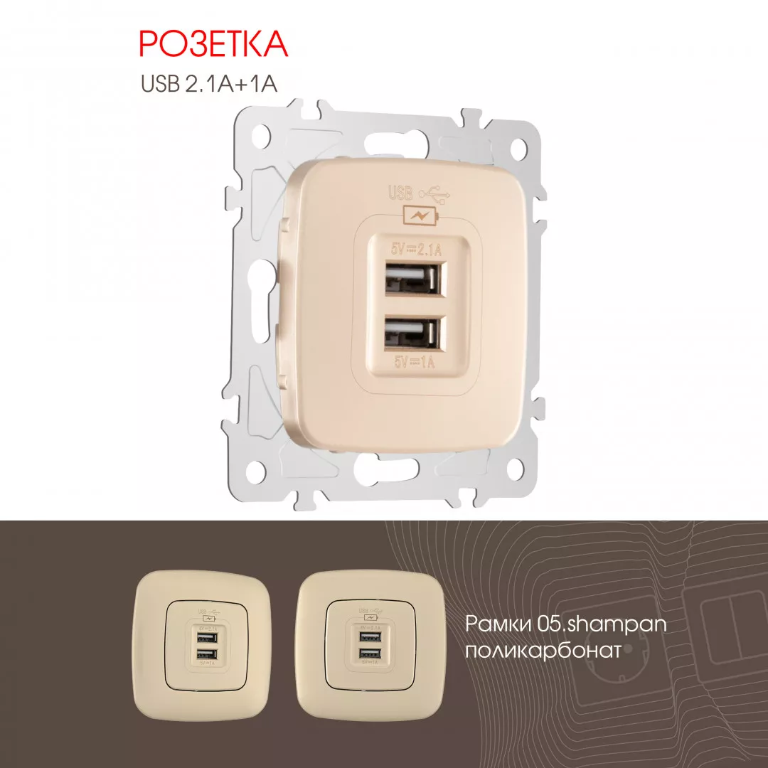 

Розетка USB 2.1А+1А Arte Milano 205.46-1.shampan