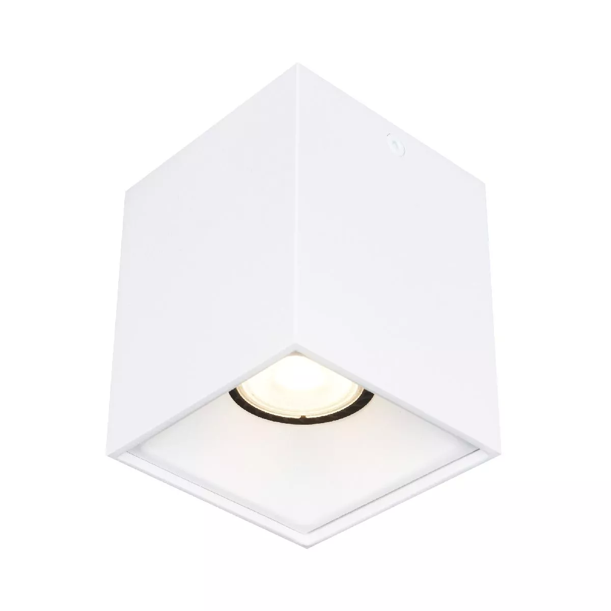 

Накладной светильник ST Luce ST168.502.01