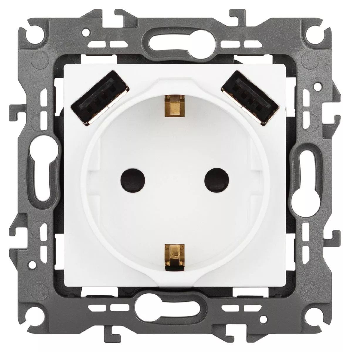 

Розетка со шторами и 2 USB Эра 12-4109-01М Б0065728