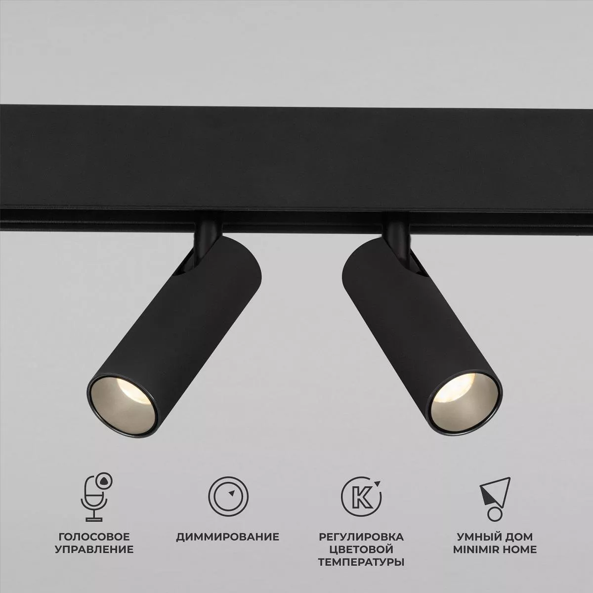

Трековый светодиодный светильник Elektrostandard Slim Magnetic Dim Dual 85056/01 черный a063528