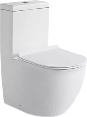 

Унитаз-моноблок напольный SantiLine SL-5011