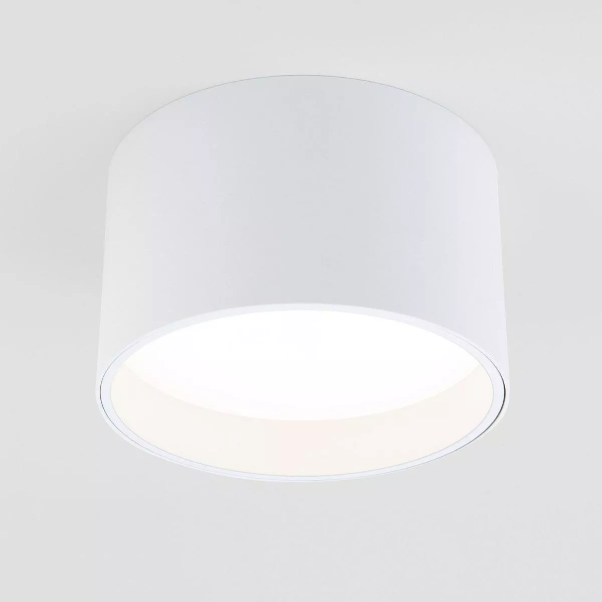 

Потолочный светодиодный светильник Elektrostandard Banti 25123/LED 13W 3000K белый a063927