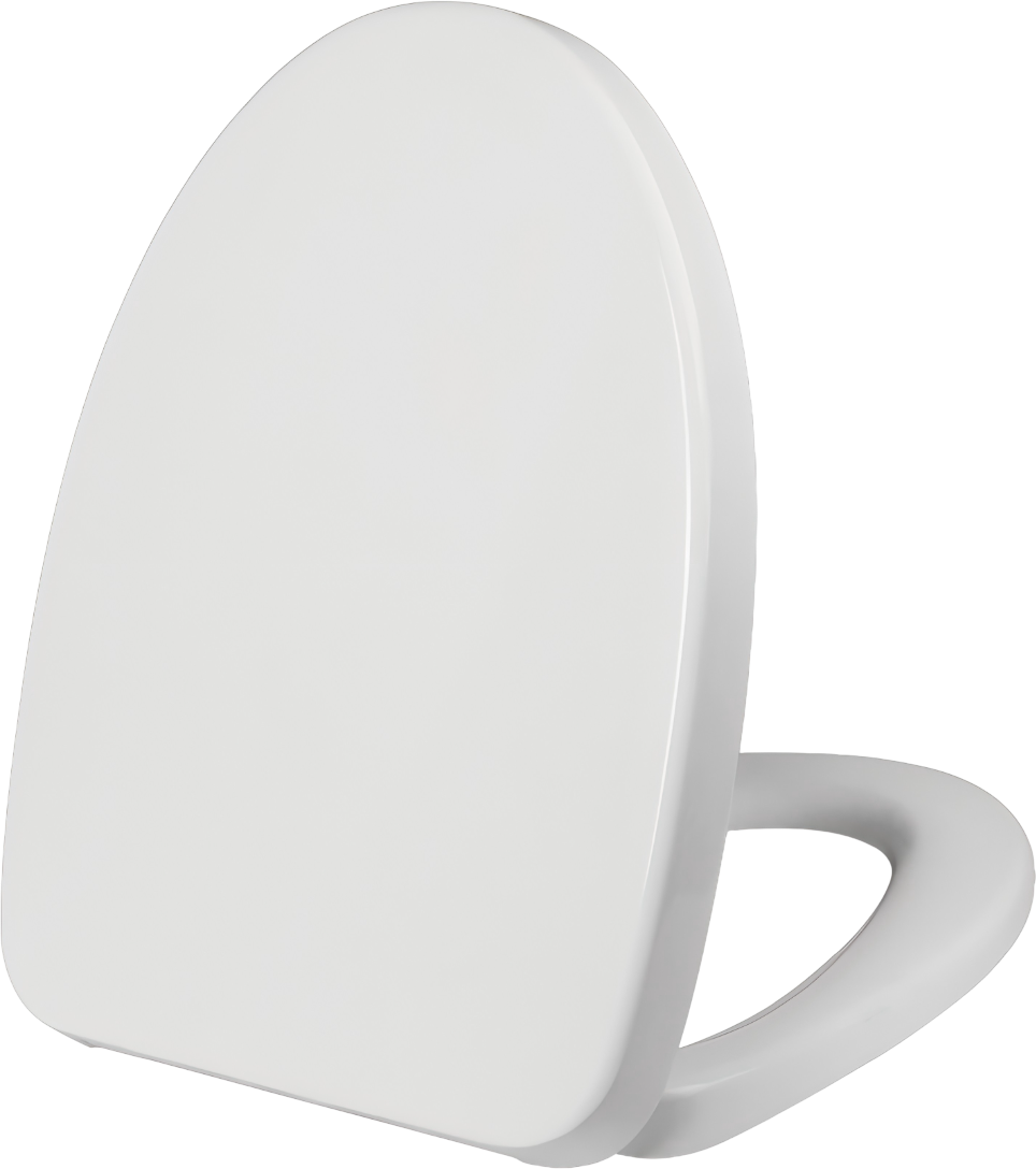 Крышка-сиденье ARROW PG021-RUA с микролифтом белая 2345₽