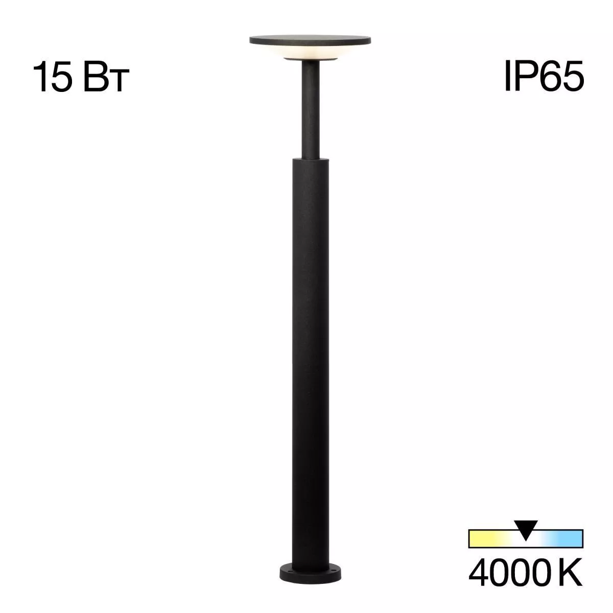 

Потолочная люстра Citilux CL203631