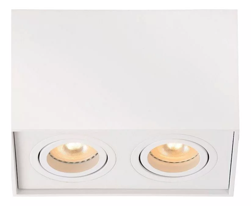 

Потолочный светильник Lucide Tube 22953/02/31