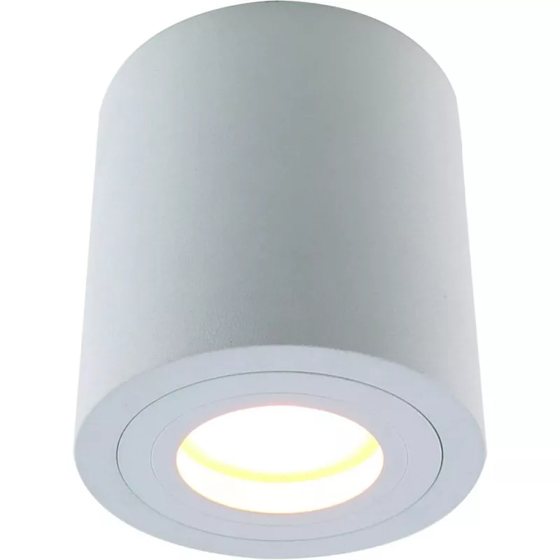 

Потолочный светильник Divinare Galopin 1460/03 PL-1