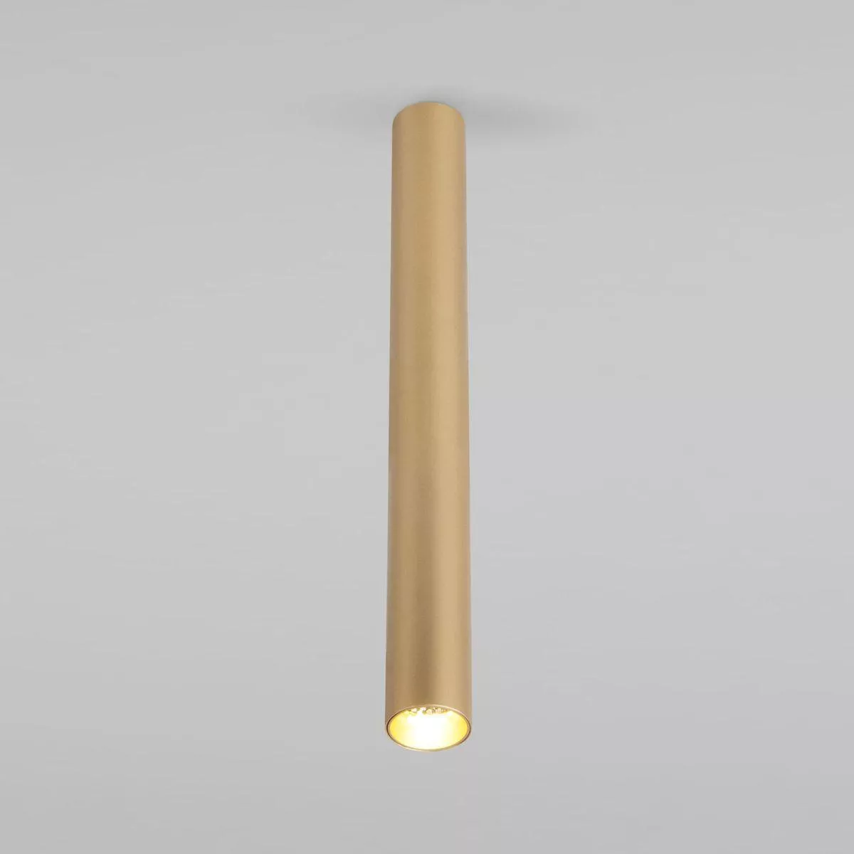 

Потолочный светодиодный светильник Elektrostandard Pika 25030/Led золото a061120