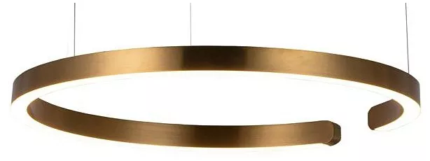 

Подвесной светодиодный светильник Loft IT Ring 10013L