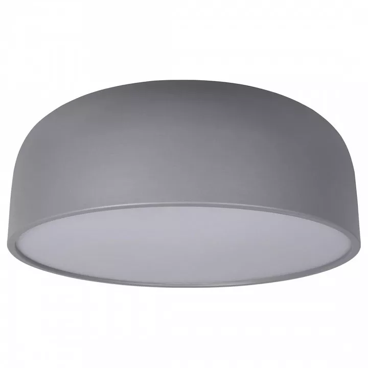 

Накладной светильник Loft it Axel 10201/480 Grey