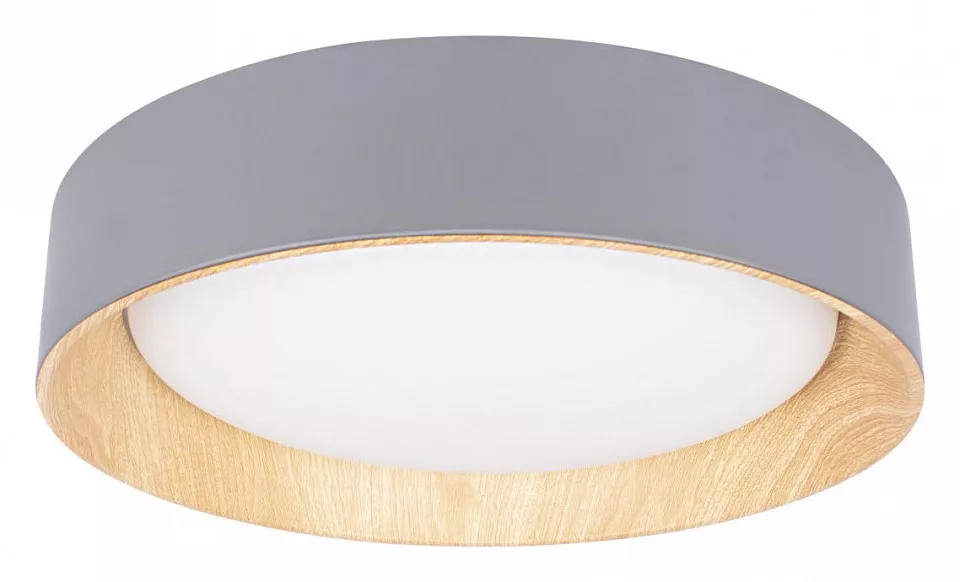 

Накладной светильник Loft it Coin 10202 Grey
