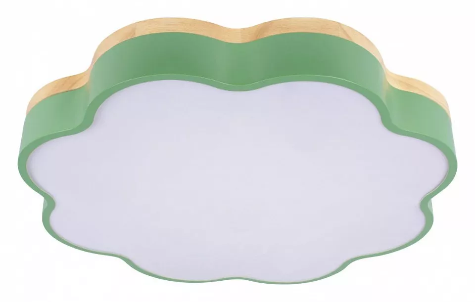 

Накладной светильник Loft it Axel 10225/36 Green