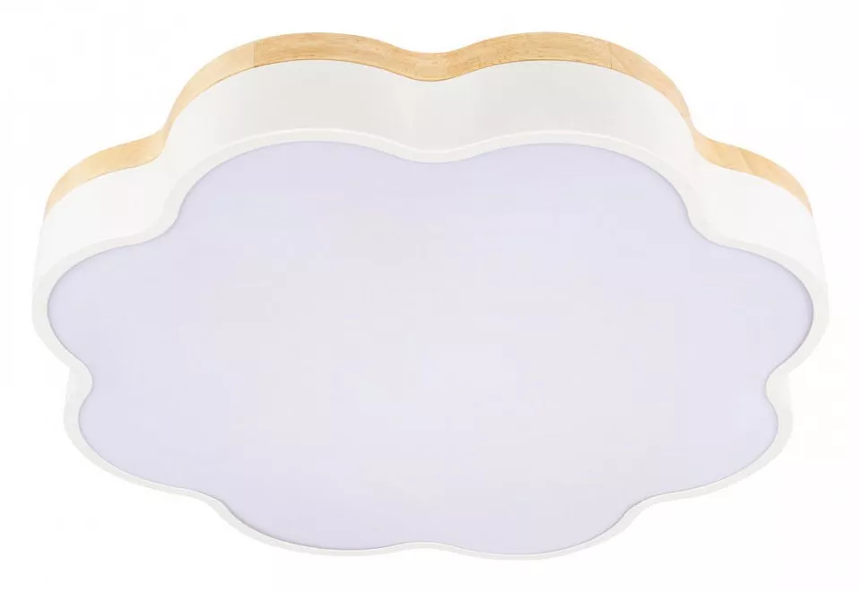 

Накладной светильник Loft it Axel 10225/36 White