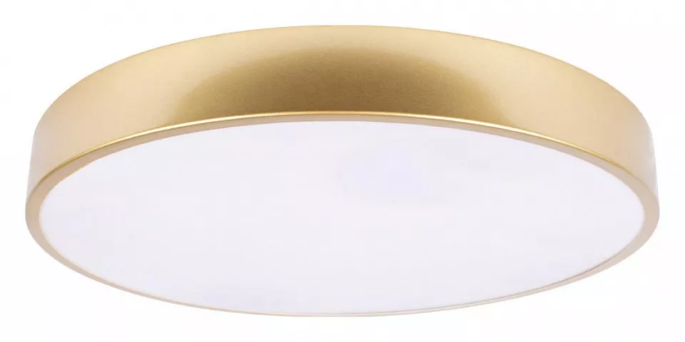

Накладной светильник Loft it Flims 10228/A