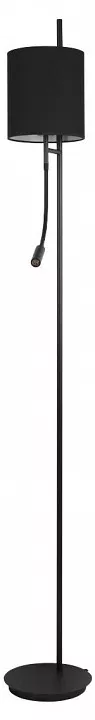   Santehnika Room Торшер с подсветкой Loft it Ritz 10253F/B Black