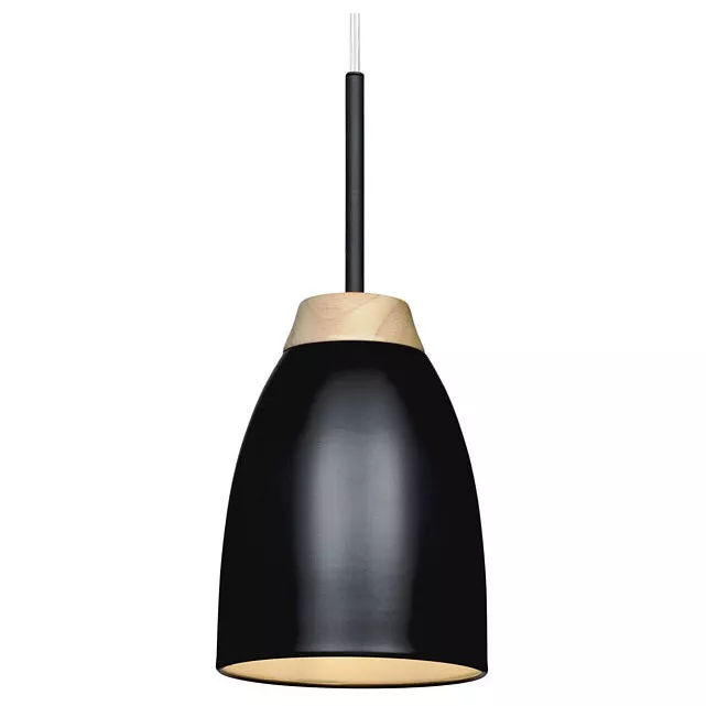 

Подвесной светильник Loft IT Watchman Loft4402A-Bl